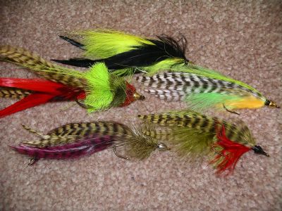 assorted pike flies
